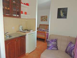 Апартаменты Villa Seka Будва Номер-студио (для 2 взрослых)-10